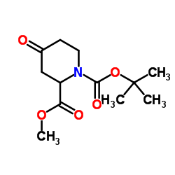 4-氧代-1,2-哌啶二羧酸 1-叔丁酯 2-甲酯图片