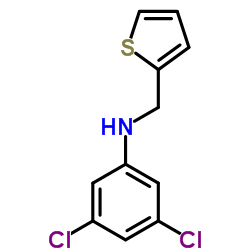 3,5-Dichloro-N-(2-thienylmethyl)aniline Structure