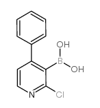 2-Chloro-4-phenylpyridine-3-boronic acid picture