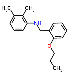 2,3-Dimethyl-N-(2-propoxybenzyl)aniline Structure