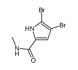 4,5-dibromo-N-methyl-1H-pyrrole-2-carboxamide Structure