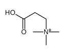 2-carboxyethyl(trimethyl)azanium结构式