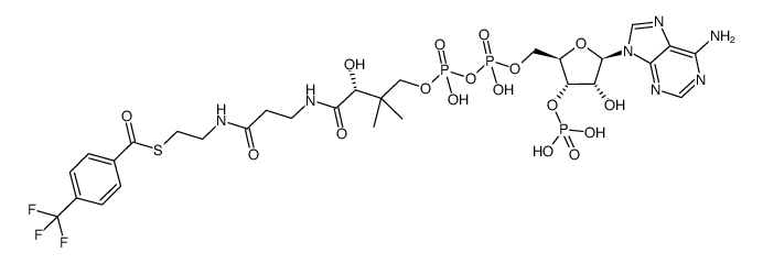 169477-55-8 structure