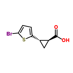 1818257-71-4 structure