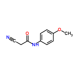 2-Cyano-N-(4-methoxyphenyl)acetamide structure