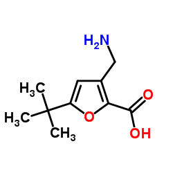 3-AMINOMETHYL-5-TERT-BUTYL-FURAN-2-CARBOXYLIC ACID structure