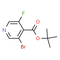 3-BROMO-5-FLUORO-ISONICOTINIC ACID TERT-BUTYL ESTER结构式