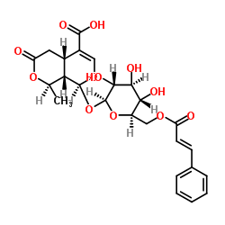 6'-O-Cinnamoyl-8-epikingisidic acid structure