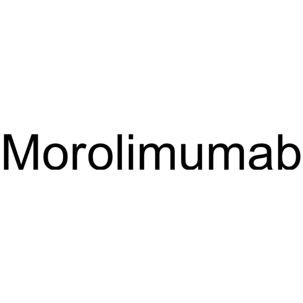 Morolimumab Structure