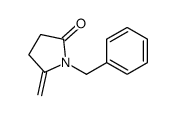 1-benzyl-5-methylidenepyrrolidin-2-one Structure