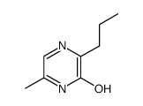 Pyrazinol, 6-methyl-3-propyl- (8CI)结构式