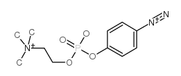 p-Diazonium Phenylphosphorylcholine Structure