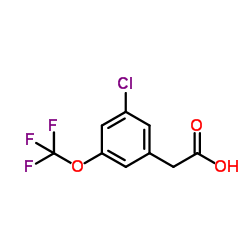 3-Chloro-5-(trifluoromethoxy)phenylacetic acid图片