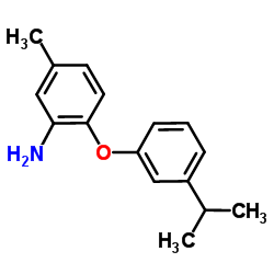 2-(3-Isopropylphenoxy)-5-methylaniline结构式