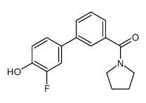 [3-(3-fluoro-4-hydroxyphenyl)phenyl]-pyrrolidin-1-ylmethanone Structure