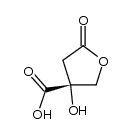 3-Furoicacid,tetrahydro-3-hydroxy-5-oxo-,(R)-(+)-(8CI) structure