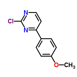 2-氯-4-(4-甲氧基苯基)嘧啶图片