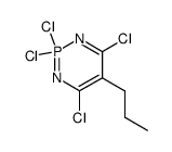 2,2,4,6-tetrachloro-5-propyl-2λ5-[1,3,2]diazaphosphinine Structure