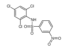 3-nitro-N-(2,4,6-trichlorophenyl)benzenesulfonamide结构式