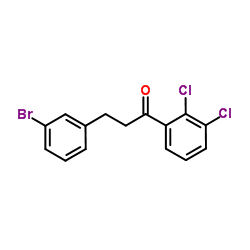 3-(3-Bromophenyl)-1-(2,3-dichlorophenyl)-1-propanone picture