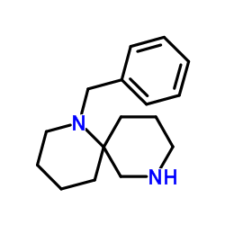 1-Benzyl-1,8-diazaspiro[5.5]undecane Structure