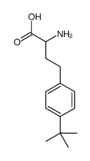 2-amino-4-(4-tert-butylphenyl)butanoic acid Structure