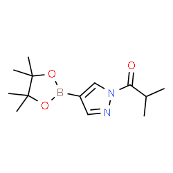 2-methyl-1-[4-(4,4,5,5-tetramethyl-1,3,2-dioxaborolan-2-yl)-1H-pyrazol-1-yl]-1-Propanone structure