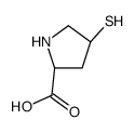 CIS-4-MERCAPTO-L-PROLINE picture