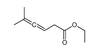 ethyl 5-methylhexa-3,4-dienoate Structure