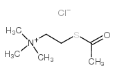 氯化乙酰硫代胆碱图片