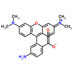 6-AMINOTETRAMETHYLRHODAMINE结构式