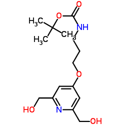 2-Methyl-2-propanyl (3-{[2,6-bis(hydroxymethyl)-4-pyridinyl]oxy}propyl)carbamate Structure