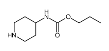 Carbamic acid,4-piperidinyl-,propyl ester (9CI)结构式