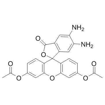 205391-02-2 structure