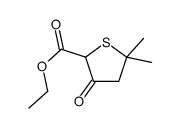 ethyl 5,5-dimethyl-3-oxothiolane-2-carboxylate Structure