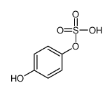 (4-hydroxyphenyl) hydrogen sulfate结构式