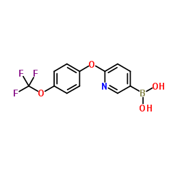 {6-[4-(Trifluoromethoxy)phenoxy]-3-pyridinyl}boronic acid structure