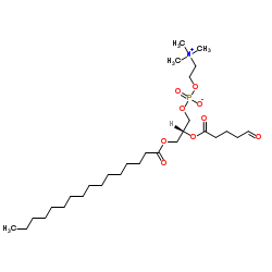 1-PALMITOYL-2-(5-OXOVALEROYL)-SN-GLYCERO-3-PHOSPHATIDYLCHOLINE picture