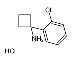 1-(2-chlorophenyl)cyclobutan-1-amine hcl picture