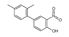 4-(2,4-dimethylphenyl)-2-nitrophenol Structure