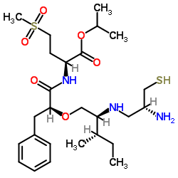 Geranylgeranyltransferase from rat, recombinant picture