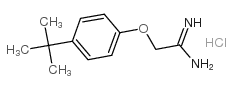 2-(4-叔丁基苯氧基)乙酰胺盐酸盐图片