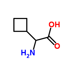 L-环丁基甘氨酸图片