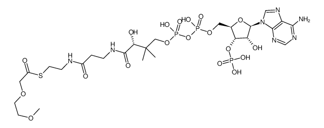 3,6-dioxaheptanoyl coenzyme A结构式