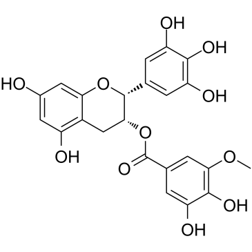 (-)-Epigallocatechin-3-(3''-O-methyl) gallate picture