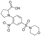 1-[4-(MORPHOLINE-4-SULFONYL)-2-NITRO-PHENYL]-PYRROLIDINE-2-CARBOXYLIC ACID结构式