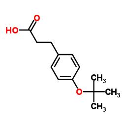 3-(4-tert-Butoxyphenyl)propanoic acid picture