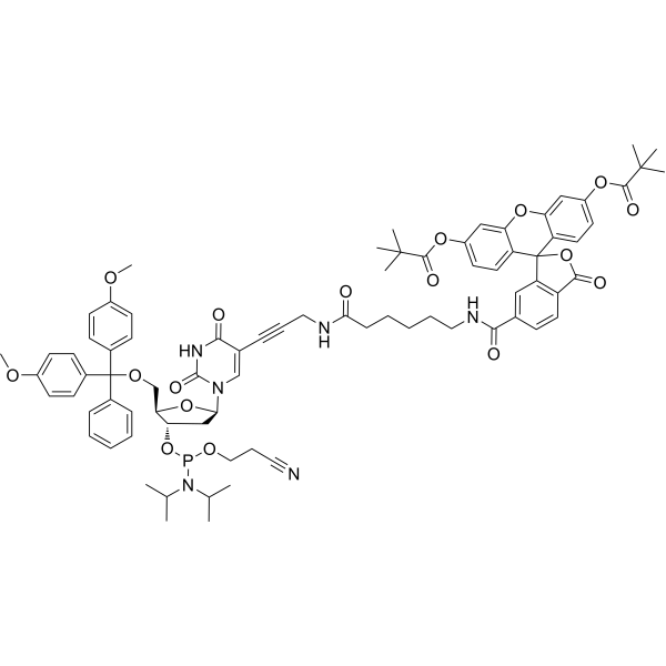 FAM-dT phosphoramidite结构式