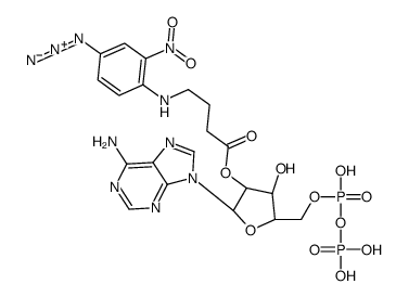 [(2R,3R,4R,5R)-2-(6-aminopurin-9-yl)-4-hydroxy-5-[[hydroxy(phosphonooxy)phosphoryl]oxymethyl]oxolan-3-yl] 4-(4-azido-2-nitroanilino)butanoate Structure