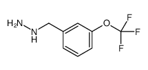 3-TRIFLUOROMETHOXY-BENZYL-HYDRAZINE Structure